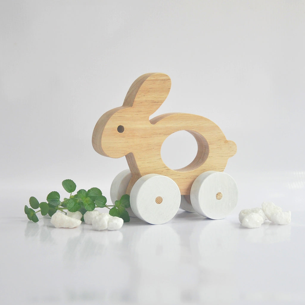 Wooden Bunny Push Toy